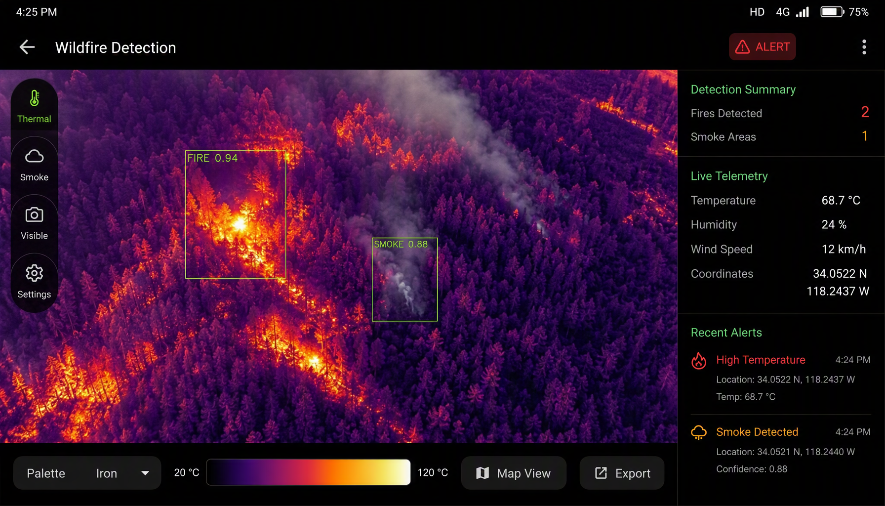 Wildfire Detection